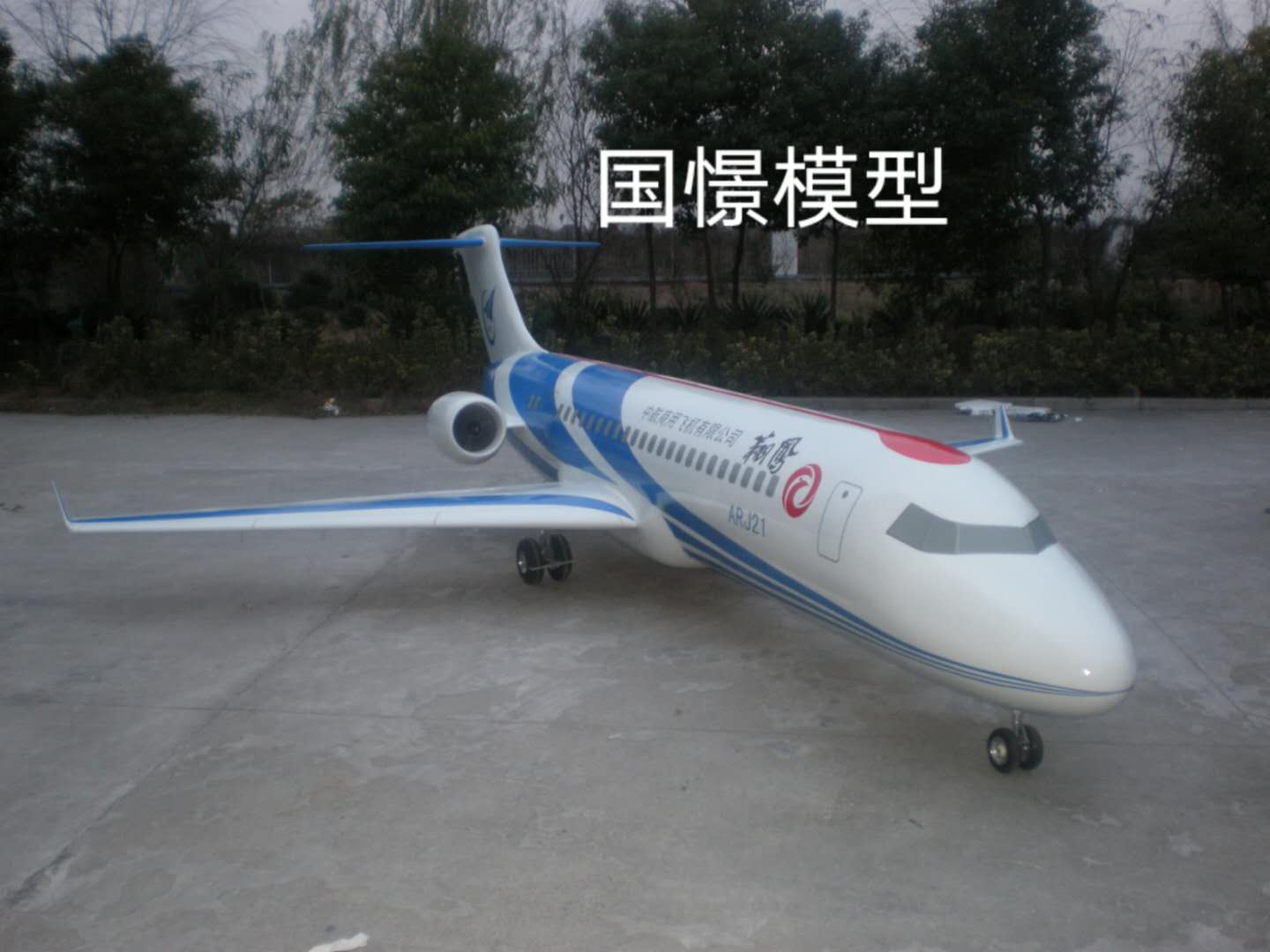 岳池县飞机模型